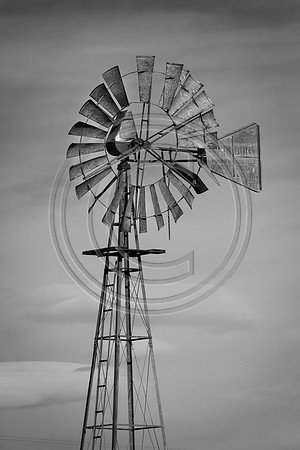 Philip_2015_0118-0295