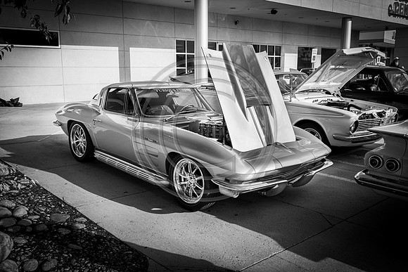 Philip_2026_0725-5705-2