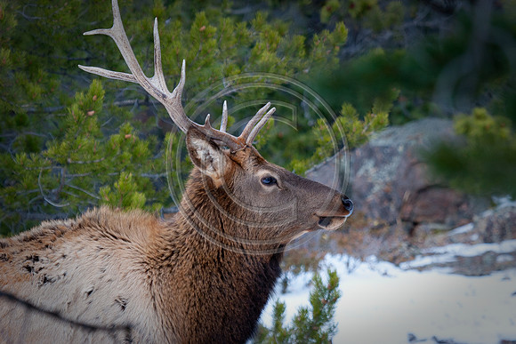 IMG_6108