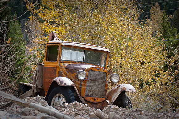 Philip_20091011-0739
