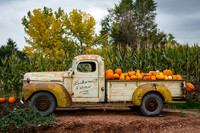 Philip_2014_1010-8653