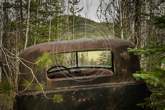 Philip_20100426-5696
