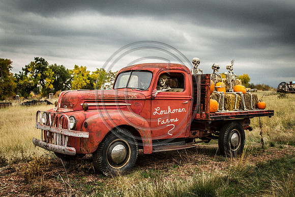 Philip_2014_1010-8645
