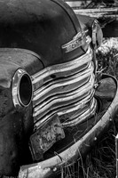 Philip_2015_0925-8565