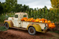 Philip_2014_1010-8637