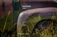 Philip_2015_0925-8564