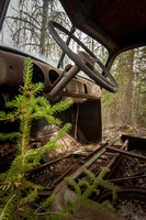 Philip_20100426-5697