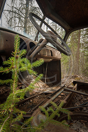 Philip_20100426-5697